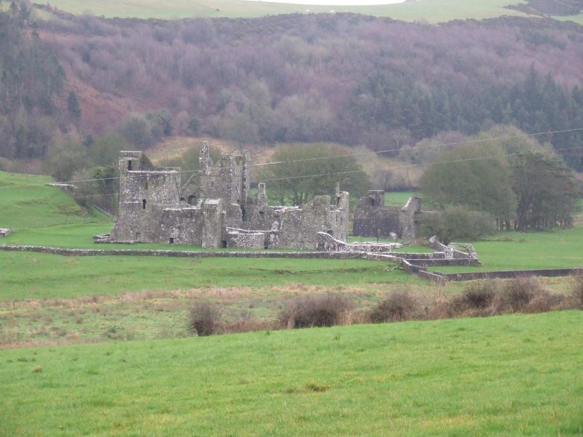 Mullaghmeen Forest Mullingar Exteriör bild